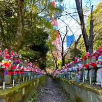 〜東京都〜増上寺！東京タワーと歴史的なお寺が見られる日本景色！