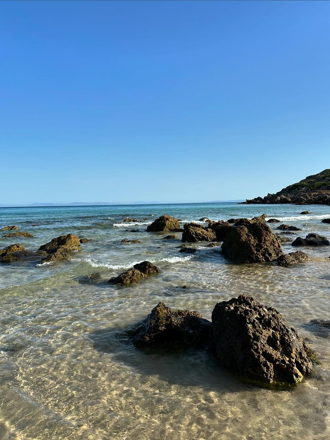 หาดโบโลเนีย