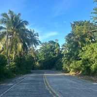 Northern siargao island - palm tree heaven
