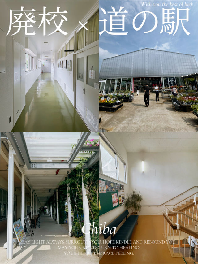 泊まれる小学校？！エモすぎる道の駅🤩🏫🌱【千葉】