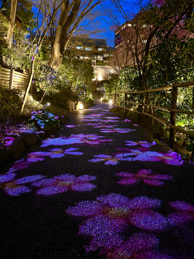 〜東京都〜行って欲しい！光のアート桜小路🌸