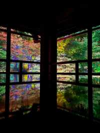 〜滋賀県〜美しすぎる旧竹林院ライトアップ✨