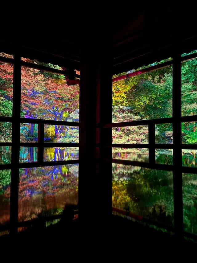 〜滋賀県〜美しすぎる旧竹林院ライトアップ✨