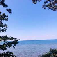 【愛知🇯🇵】多幸なタコがお出迎え🐙離島で夏満喫！