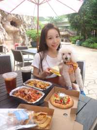 香港挪亞方舟終於變身成pet-friendly🐕嘅旅遊點啦yeah!