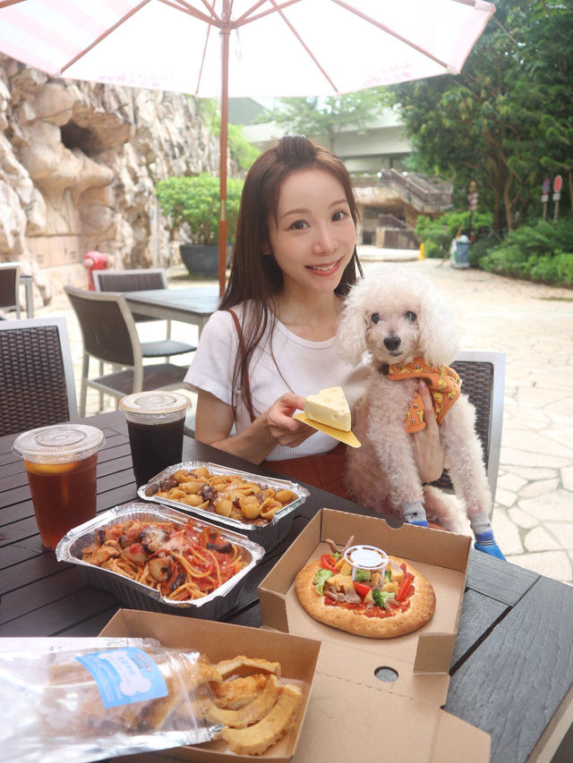 香港挪亞方舟終於變身成pet-friendly🐕嘅旅遊點啦yeah!