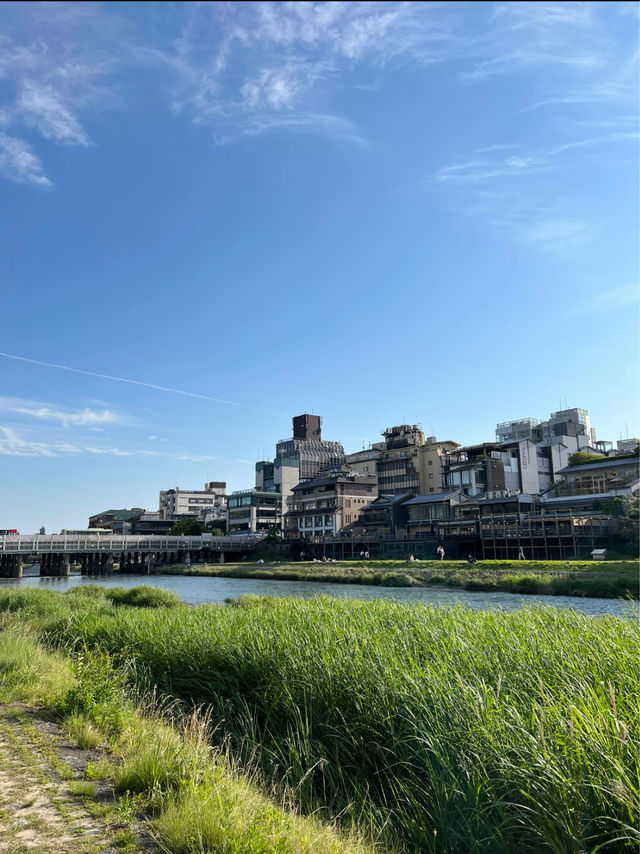 Walk Along the Kamo River in Kyoto 🍃🇯🇵
