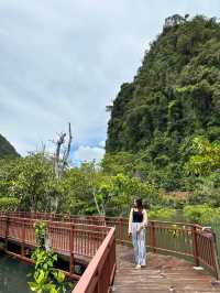 เส้นทางศึกษาธรรมชาติท่าปอม กระบี่ 🌳