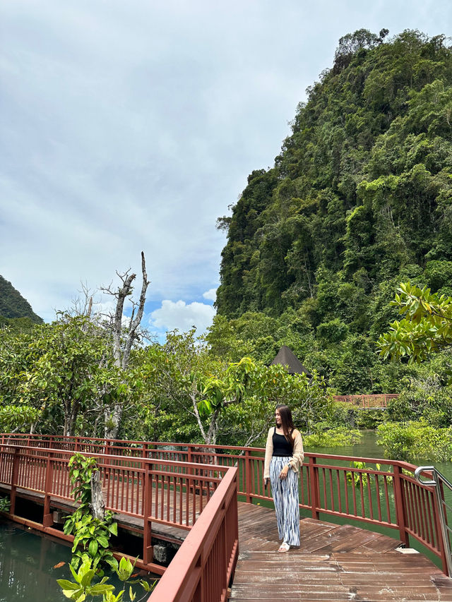 เส้นทางศึกษาธรรมชาติท่าปอม กระบี่ 🌳