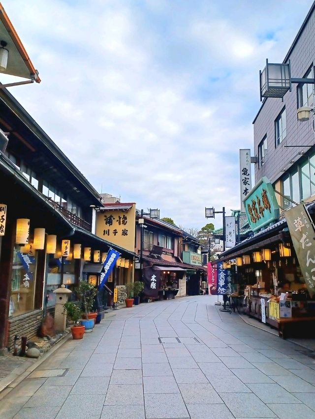【柴又帝釈天:東京都葛飾区】寅さんで有名な柴又で歴史を感じる✨