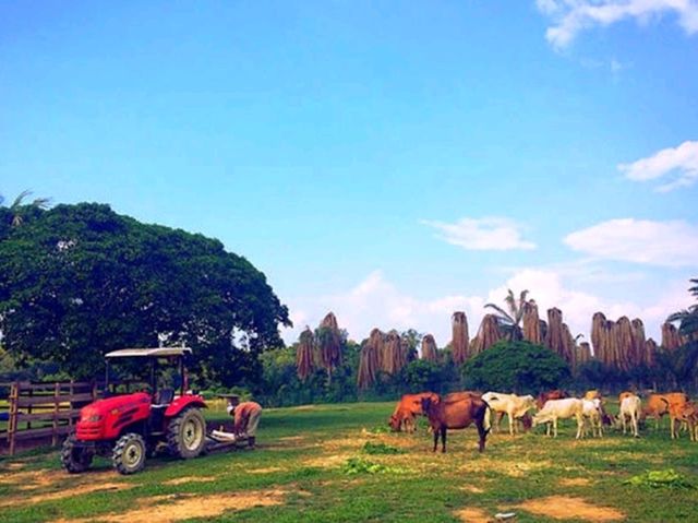 Kampung Bongsu Farmstay