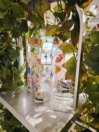 沉浸式體驗「健康秘密花園」🌿展覽1️⃣0️⃣天 把握機會預約