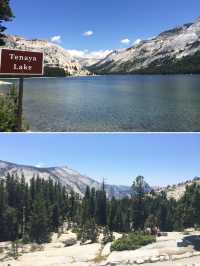 Exploring Yosemite National Park: A Natural Wonderland 🏞️🌲