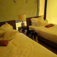 Te Mata Glamping สุดหรู มีพ่อบ้านประจำการ