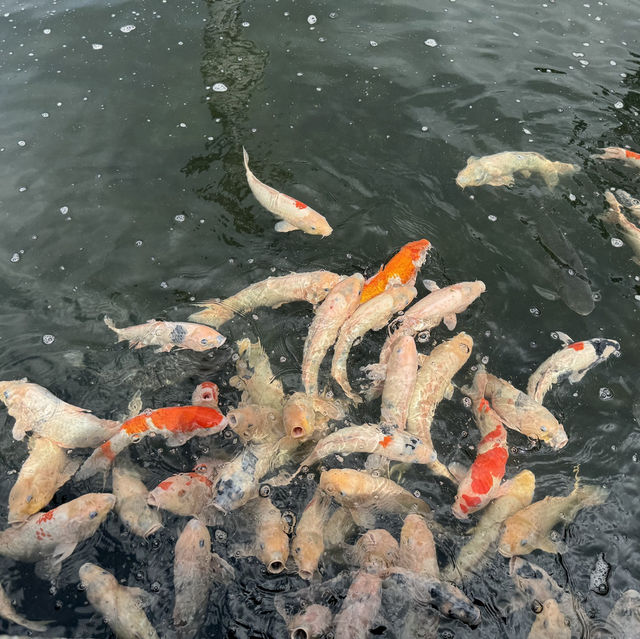 Day Trip at Sun Moon Lake Nantou - WenWu Temple