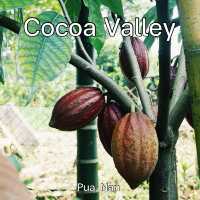 Cocoa Valley
