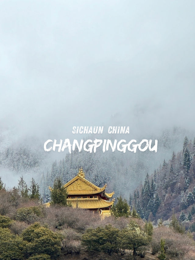 Changping Valley🌿