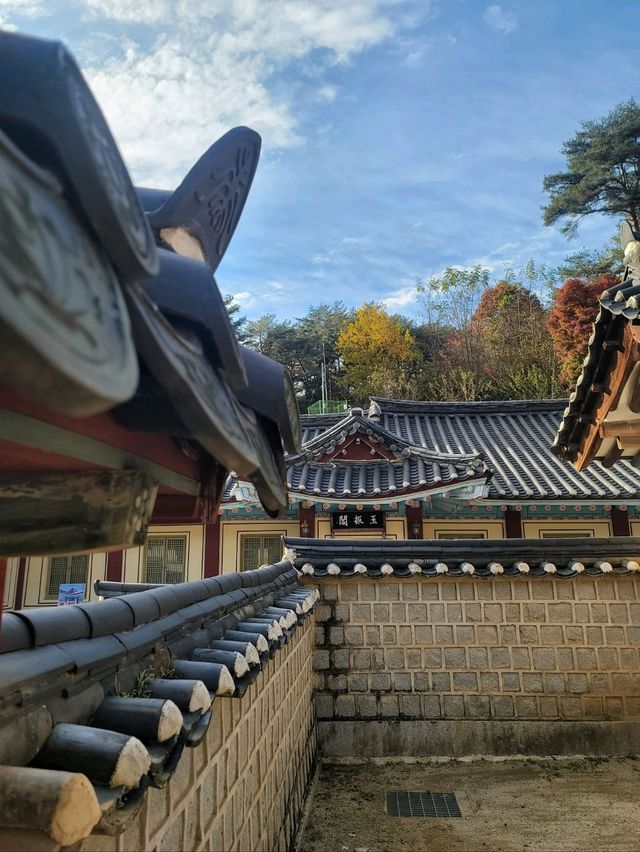 가을이면 더 아름다운 안동 필수여행지🤎