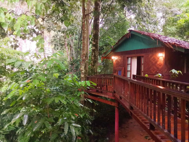 📍Our Jungle House จ.สุราฎร์ธานี