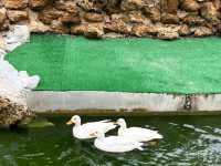 FlowerLand Pattaya