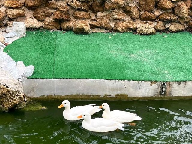 FlowerLand Pattaya