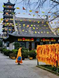 《市內一日遊》【上海真如寺】一日遊：佛門淨土，洗滌心靈