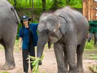 Elephant Jungle Sanctuary Grand Canyon CNX