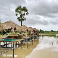 คาเฟ่ชิดภู พักสายตาวิวทุ่งนา360องศา #ลาวใต้