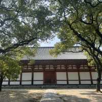 走訪京都東寺