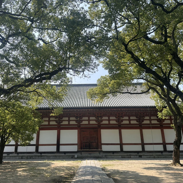 走訪京都東寺