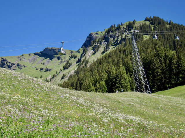 พาขึ้นยอดเขา🏔️ Grindelwald First 