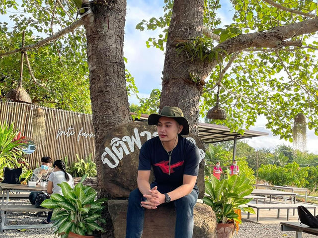ปิติฟาร์มมิลี่ คาเฟ่&แกลมปิ้ง ผามออีแดง