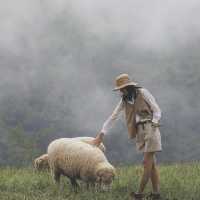 Akha FarmVille คาเฟ่และฟาร์มแกะดอยช้าง