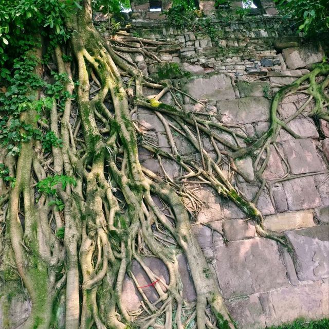 長江源頭，宜賓三江匯合處