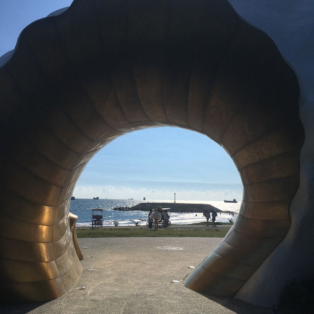 在高雄旗津貝殼館邂逅海洋之美