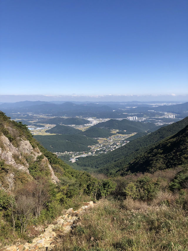 놓칠 수 없는 가을 억새 최고명소🍂 울산 간월재