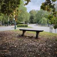 A Peaceful Escape in the Heart of Turin: The Serenity of Parco del Valentino