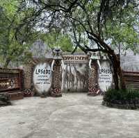 Lesedi Cultural Village: Deep Dive into South African Culture and Traditions