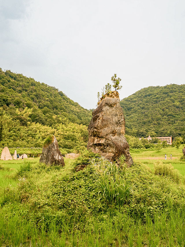 📍ラ・コリーナ近江八幡