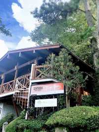 【福岡カフェ】緑に囲まれた景色がいいカフェ🌳✨️