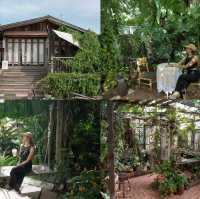 คาเฟ่หนองคาย