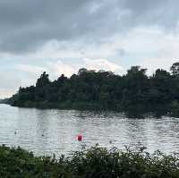 Lush Trails & Tranquil Waters at MacRitchie Reservoir