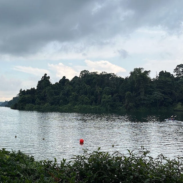 Lush Trails & Tranquil Waters at MacRitchie Reservoir