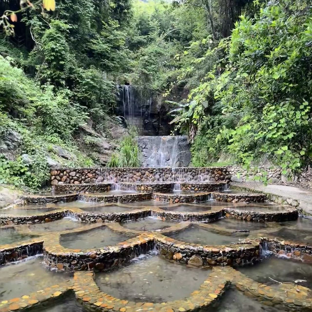 ～陽台山森林公園～自然的奇妙～