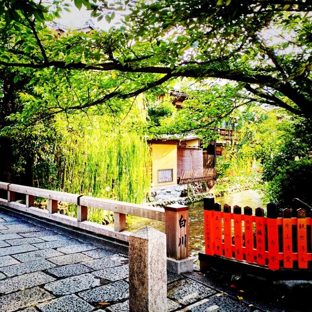 【京都】京都が満喫できる町並み 祇園白川