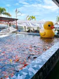 Outdoor Adventure at Desaru Mini Zoo