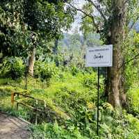 "Kolam Air Panas Ulu Bendul: A Natural Gem in Need of Care"