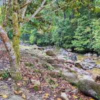 "Explore Nature on the Scenic Hiking Trails of Taman Eko Rimba Ulu Bendul"
