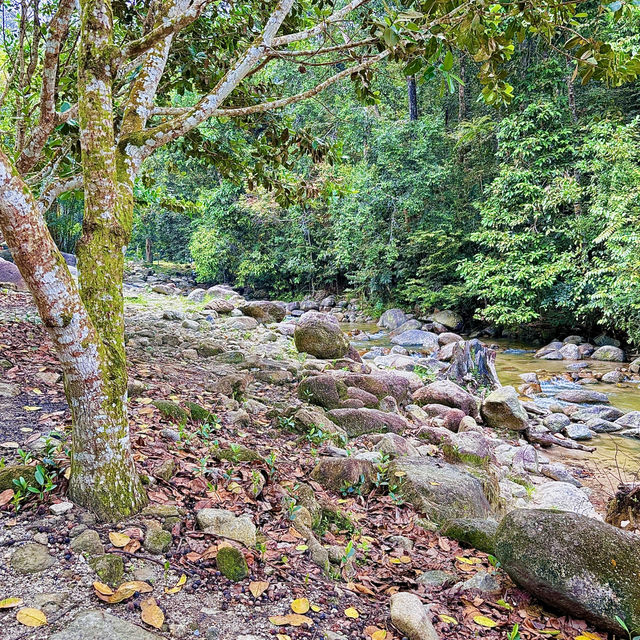 "Explore Nature on the Scenic Hiking Trails of Taman Eko Rimba Ulu Bendul"