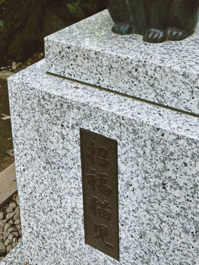 滿滿招財貓的日本豪德寺😻😻